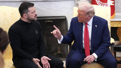 Trump ‘put Zelensky in his place’ – White House