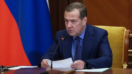 FILE PHOTO: Dmitry Medvedev.