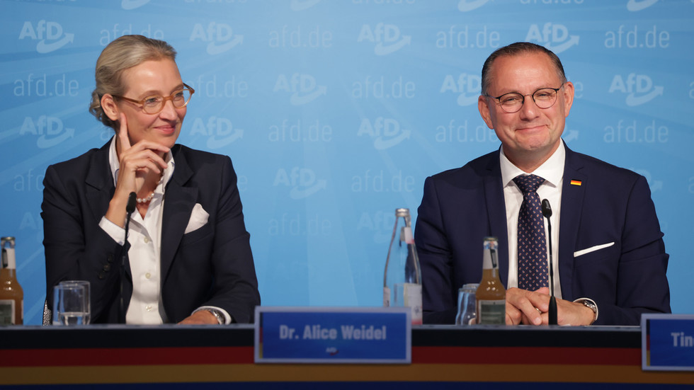 Here’s why the AfD is destined for the German government — RT World News