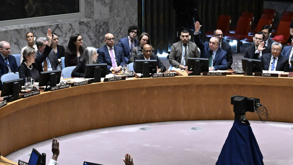 New Delhi calls out attempts to limit representation at UN Security Council