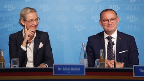 Here’s why the AfD is destined for the German government