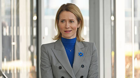 EU will never recognize Crimea as Russian – top diplomat