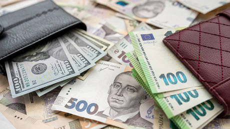 Ukraine considers ditching dollar as reference currency – central bank chief