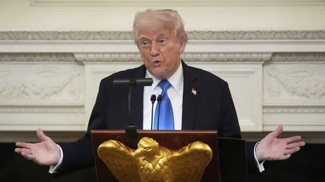 US should never have intervened in Ukraine – Trump