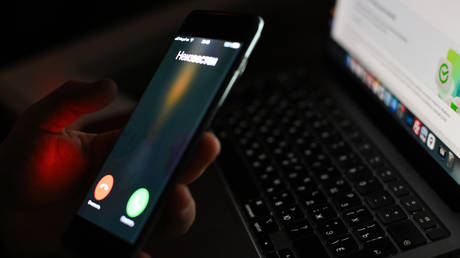 Russia to launch nationwide anti-fraud app – minister