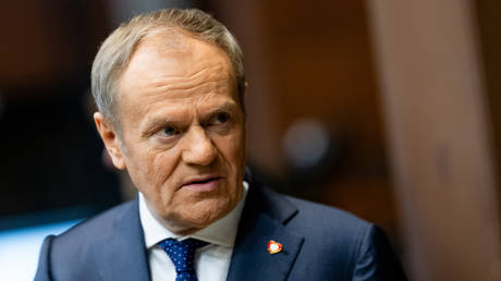 Poland wants to ‘earn big money’ on Ukraine – Tusk