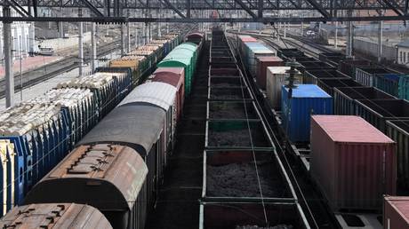 Eurasian Economic Union will never bully its members – Moscow