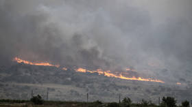 Israel hit with ‘largest ever’ wildfires (VIDEOS)