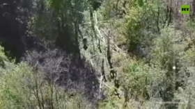 New Ukrainian Kursk assault repelled – Chechen leader (VIDEO)