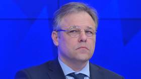 Any Ukraine truce must support lasting peace – senior Russian diplomat