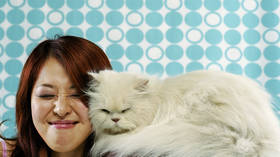 Russian researchers develop breakthrough cat allergy vaccine