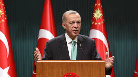 Türkiye happy to continue mediating Ukraine conflict – Erdogan