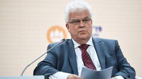 Russia wants lasting resolution to Ukraine conflict – ex-deputy foreign minister