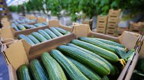 Polish farmers call for Russian cucumber ban