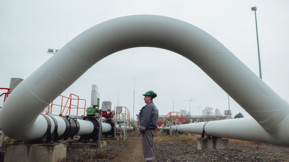 Ditching Russian gas could cost EU state €16 billion – Reuters