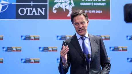Baltic and Black seas are ‘NATO areas’ – Rutte