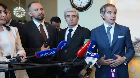 IAEA chief condemns Ukraine strikes on Zaporozhye power plant