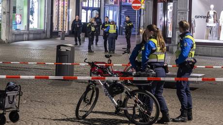 Ukrainian vet behind Dutch stabbings sought life sentence – media