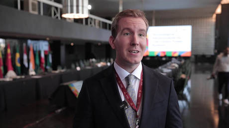‘Flagship platform for young people from Global South’ – official on BRICS energy summit