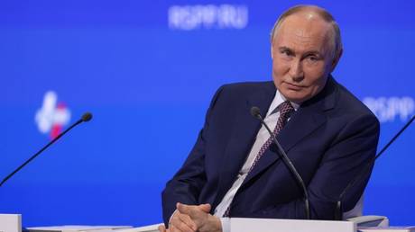 Russia never sought to ban homosexuality – Putin