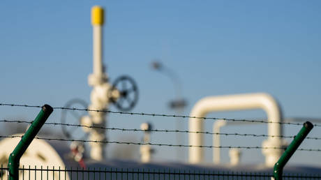 EU member calls for review of ban on Russian gas – FT