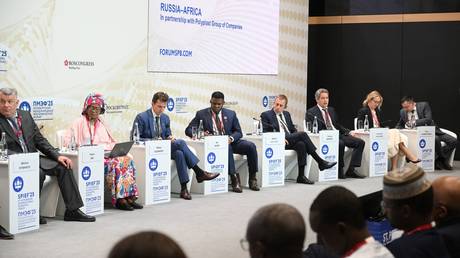 Russian fertilizer giant to boost exports to Africa