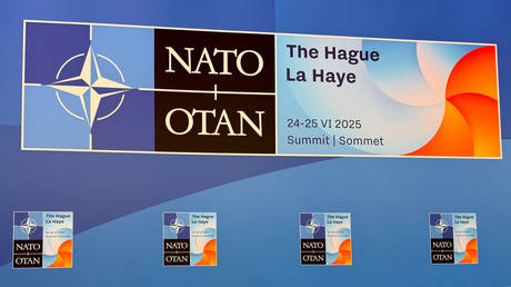 NATO summit to ditch Ukraine meeting – Politico