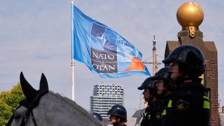 NATO members to postpone spending hike – Reuters
