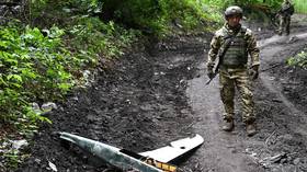Russia strikes Ukrainian drone production facilities – MOD