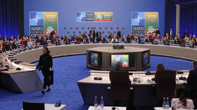 NATO summit to avoid Ukraine membership issue – AFP