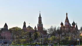 Russia to expand ties with Africa in ‘sensitive’ sectors – Peskov