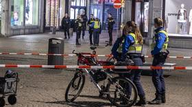 Ukrainian vet behind Dutch knife spree wanted life sentence – media