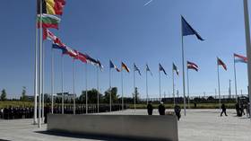 Ukraine membership out of NATO summit statement – Bloomberg