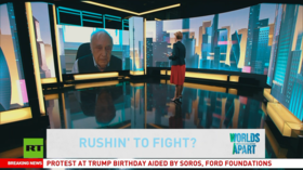 Rushin’ to fight? Robert Skidelsky, member of the British House of Lords