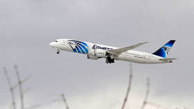 EgyptAir cuts key Middle East routes