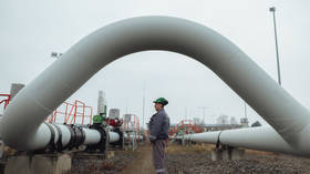 Ditching Russian gas could cost EU state €16 billion – Reuters