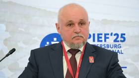 Nord Stream sabotage underscores need for fair energy transition – Russian energy minister