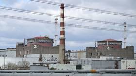 Staff at Europe’s biggest nuclear power plant attacked by Ukrainian drone – officials