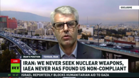 No weapons-grade enrichment in Iran – Foreign Ministry spokesman