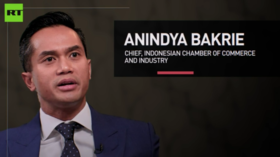 Indonesia is open for collaboration with international partners – Head of Indonesian Chamber of Commerce and Industry