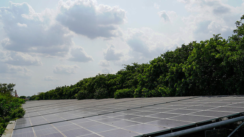 India aiming to become net energy exporter by 2030 – minister
