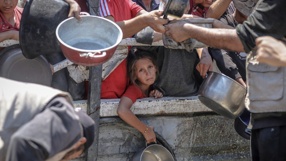 Israel’s Gaza aid drops are a smokescreen – UN agency chief