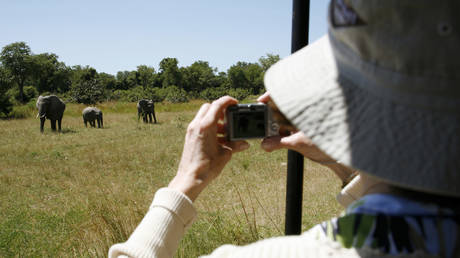 British and New Zealand tourists killed in elephant attack