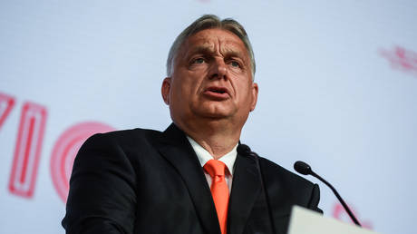 Orban accuses Ukraine of election meddling through ‘secret operations’