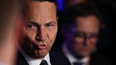 Putin is ‘mocking’ Trump – Poland