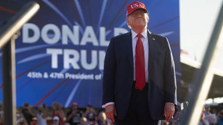 Putin is ‘a professional’ – Trump