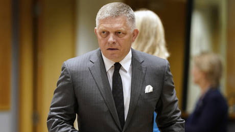 EU nation ‘ready to fight’ for Russian gas – PM