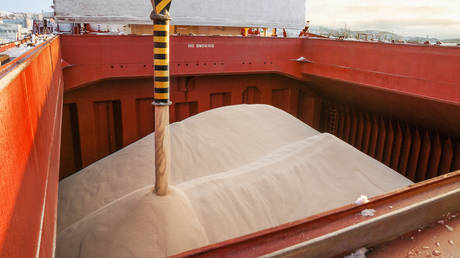 Russia’s fertilizer exports to BRICS soaring – industry