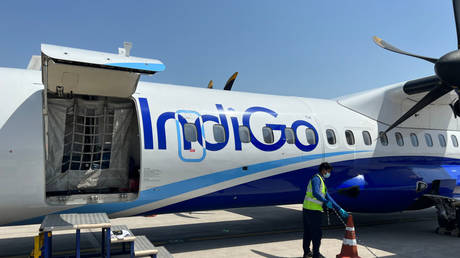 Bee attack delays flight in India (VIDEO)