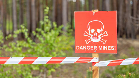 Another NATO member pulls out of landmine treaty